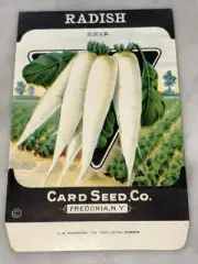 Vintage White Icicle Radish Seed Packet Card Seed Co Fredonia NY NOS