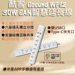 GOSUND 酷客 GAN 智慧延長線 WP12 30W 延長線 智能延長線 小米延長線 智能插座 定時開關 小米有品