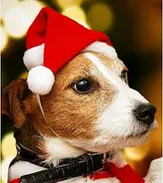 Cat Santa Hat, Dog Christmas Red Hat, Christmas Party Dressup, Christmas Hat, Santa Hat, Xmas Holiday Hat for Christmas New Year Festive Holiday Party Supplies(2 PCs)