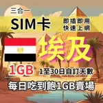 埃及上網卡 1-30天自訂天數1GB 降速吃到飽 埃及旅遊上網卡