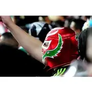 Save 15.01%! Lucha libre en Puebla (private tour)