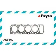 Payen Head Gasket - AE5500
