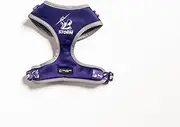 Melbourne Storm NRL - PET Harness - Medium