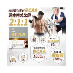 【NEW LIFE】微膠囊天然BCAA支鏈胺基酸-香草牛奶 3入組(30包/盒-含乳清蛋白.IgG)