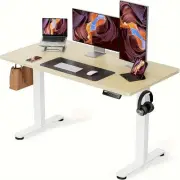 Home Office Height Adjustable Standing Desk Computer Desk with Hooks