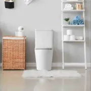 BERLIN QUIET FLUSH TECHNOLOGY BACK TO WALL TOILET SUITE GLOSS WHITE