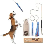 Chasing Tails Flirt Pole for Dogs Heavy Duty - 26 Inch with Extra Long Rope and Two Toys - Spring Pole for Dogs, Dog Flirt Pole for Large Dogs, Dog Catcher Pole