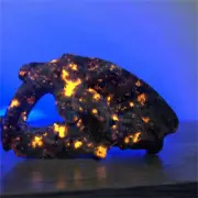 180g Natural Yooperlite saber-toothed tiger Skull Reiki Quartz Crystal Skull Dec