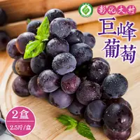 在飛比找PChome24h購物優惠-【禾鴻】彰化大村巨峰葡萄2.5斤x2盒(3串/盒_產銷履歷)