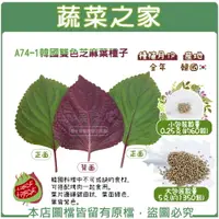 在飛比找樂天市場購物網優惠-【蔬菜之家】A74-1.韓國雙色芝麻葉種子(共有2種包裝可選