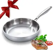 DELARLO Whole Body Tri-Ply Stainless Steel 12inch Frying Pan, Oven Safe Induction Skillet,pots and Pans Set,Suitable for All Stove (Detachable Handle)