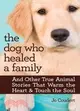 The Dog Who Healed a Family:And Other True Animal Stories That Warm the Heart & Touch the Soul