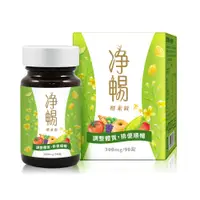 在飛比找PChome24h購物優惠-大漢酵素 淨暢酵素錠 90錠/瓶