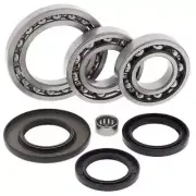 New ALL BALLS Rear Differential Bearing & Seal Kit For SUZUKI LT230 25-2023