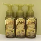 (3) Bath & Body Works SUNSHINE & LEMONS Gentle & Clean Foaming Hand Soap NEW