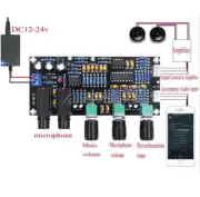 1X Digital Microphone Amplifier Board Reverberation Karaoke OK Reverb Amplifier