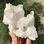 0.63Kg Natural Clear Quartz Cluster Quartz Crystal Point Specimen