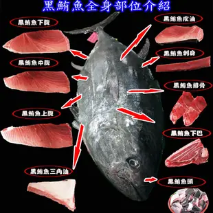 華得水產 東港黑鮪魚龍骨1包(600g/包)