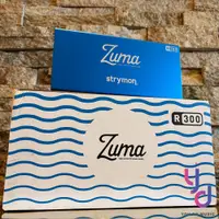 在飛比找松果購物優惠-Strymon ZUMA R300 吉他 效果器 電源供應器