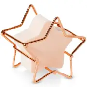 2 PC RH Macy Beauty Collection Cosmetic Star Shaped Sponge and Holder Pink