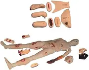 Training Manikin Patient Care Simulator Multifunctional Patient Care Simulator Nursing Manikin First Aid Trauma Human Anatomical Model for Nursing Medical Training 170CM