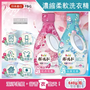 日本P&G Bold-超濃縮強洗淨除臭室內晾曬花香氛柔軟全效洗衣精640g/瓶(持香約24小時,香氛柔順劑,消臭護衣洗衣劑,直立式,滾筒式洗衣機皆適用)