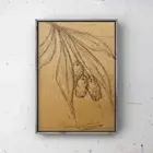 Modern Minimalist Sketch Olive Branch Art Original Botanical Plant Drawing 4x6”