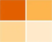 Selens 4 Pieces 16x20 inches Lighting Gels Photo Lights Gel Filters Transparent Color Correction Light Sheets for Photography Red Head Strobe Flashlight (Orange)