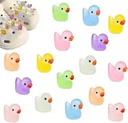 [Generic] 16PCS Glow in the Dark Duck Shoe Charms – Fun & Luminous Clog Accessories for Adults & Kids, Easy to Attach, Cute & Durable Decorations for Croc-Style Shoes