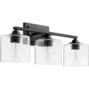 Quorum International 5202-3-69 Dakota Bathroom Vanity Light Noir
