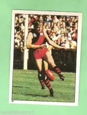 1983 SCANLENS VFL STICKER - #39 ALAN STONEHAM, ESSENDON BOMBERS