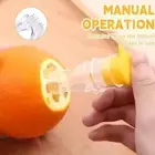 Manual Lemon Juicer Portable Lightweight Fruit Squeezer for Home Gym Kitchen