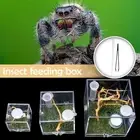 Jumping Spider Habitat Breeding Box Cages For Spider New} Insect Small Y8W9