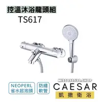 在飛比找蝦皮購物優惠-Caesar 凱撒衛浴 TS617 溫控 控溫沐浴混合龍頭(