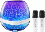Karaoke Microphone Machine Toy for Adult Kids, Mini Portable Bluetooth Speaker w