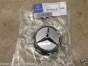 Genuine OEM Mercedes Benz Raised Himalayan Grey Center Cap