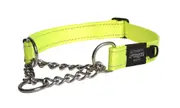 Rogz Control Obedience Non-Slip Dog Collar Dayglo - 3 Sizes