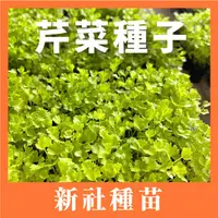 在飛比找蝦皮購物優惠-現貨）芹菜種子｜田尾種白骨芹菜｜開心農場｜蔬菜專業戶｜蔬菜種