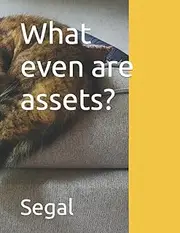 What even are assets?