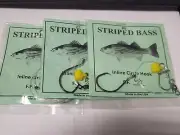 3 USA MADE Chunk Rigs w/Braid Fish Finder Striped Bass 6/0 Inline Circle Hook