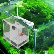 Aquarium Fish Tank Guppy Breeding Breeder Baby Fry Net Trap Box Hatchery