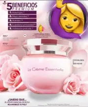 Stanhome Kiotis Paris La Creme Essentielle Facial Crema Esencial c Aceite d Rosa