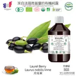 【純露工坊】芳療級LAUREL BERRY - LAURUS NOBILIS LINNE 月桂果有機花水純露