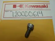 NOS KAWASAKI 2007-2020 Z1000 VULCAN SOCKET BOLT 6X14 120CC0614 NEW OEM