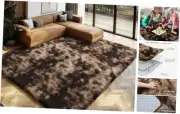 Shag Area Rugs for Bedroom Living Room,6X9Ultra Soft Fluffy Area Rugs for