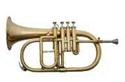 4Valve Flugelhorn BRASS FINISH Free HARDCase MOUTHPIECE BB/F PITCH MUSICALS,