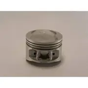 Austral Piston Set - PO851 STD