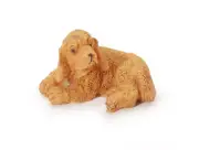 MiniatureÂ Golden Cocker SpanielÂ 1-1/8 Inches