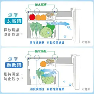 【4 %回饋】【Panasonic】501L日系上質系列 平面鋼板6門電冰箱(NR-F509XT)(晶鑽白/香檳金)APP下單點數9%回饋