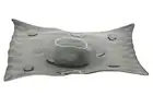 Art Glass Fruit Platter Large Home Decoration Grey Colour Brand New 80cm*48cm